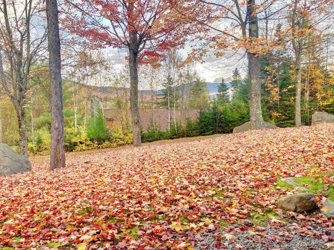 A flat backyard provides a great spot for kids to play as well. With a bonus living space on the