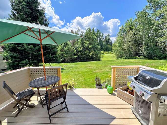 Patio Paradise: BBQ, Bistro Seating, Big Backyard