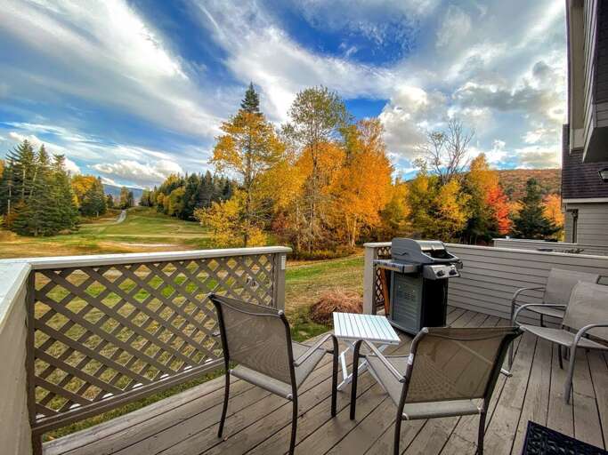 Back deck offers outdoor seating and grill. Back deck offers outdoor seating and grill.