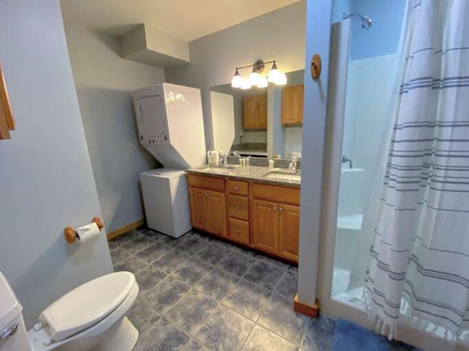 Lower level Bathroom with Laundry