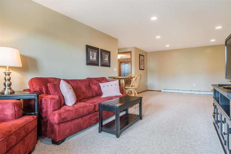 Lower level living area Lower level living area