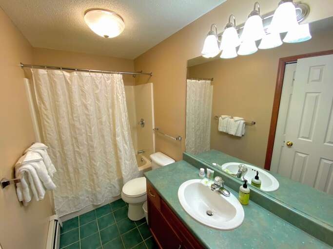 Lower level shared bath Lower level shared bath