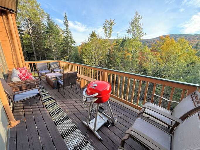 Step outside to the private back deck, where you can enjoy outdoor grilling with mountain views.