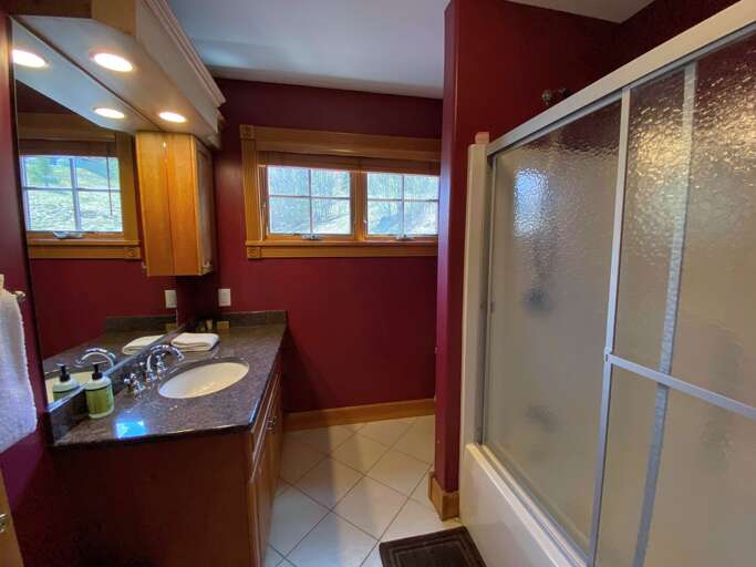 Lower level bathroom