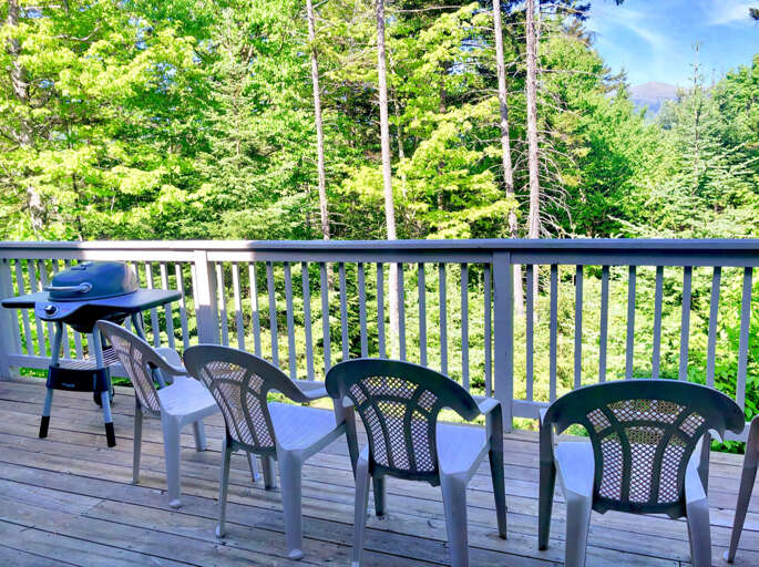 1st level upper deck with electric grill