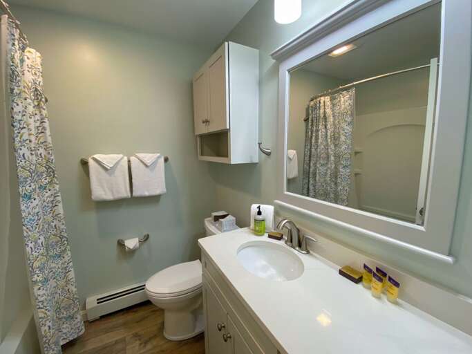 Lower level full bath with tub