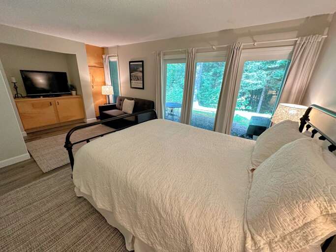Lower level Queen bedroom with TV and walkout slider