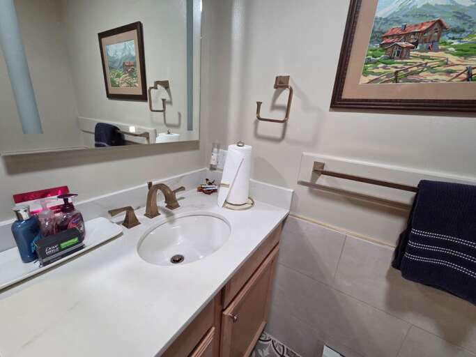 Lower level bath with shower