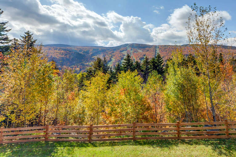 Enjoy the majestic of the trees and mountains. Enjoy the majestic of the trees and mountains.