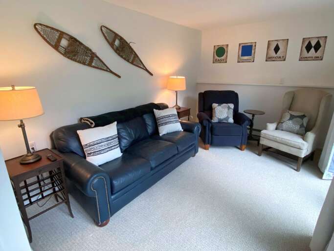 Lower Level living area