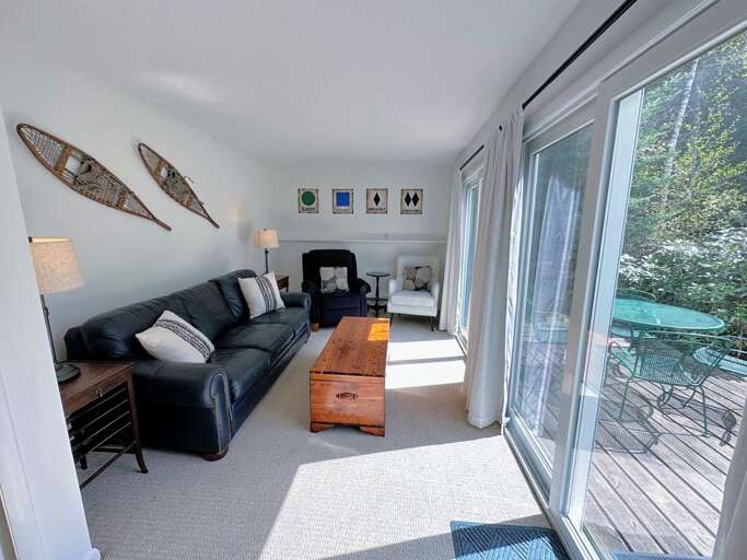 Lower Level living area