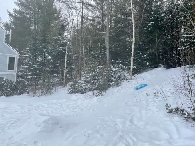 Sledding hill!