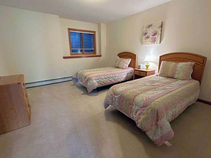 Lower Level 2-Twin Bedroom