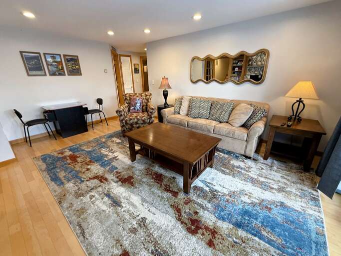 Lower Level Living Area