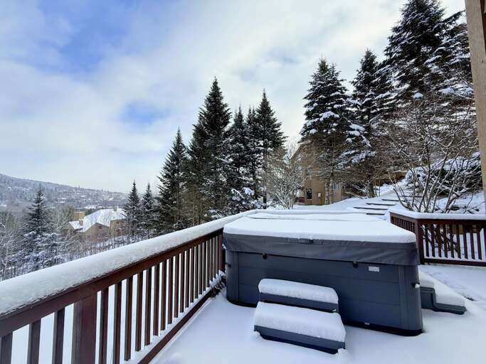 Private Hot Tub! (winter)