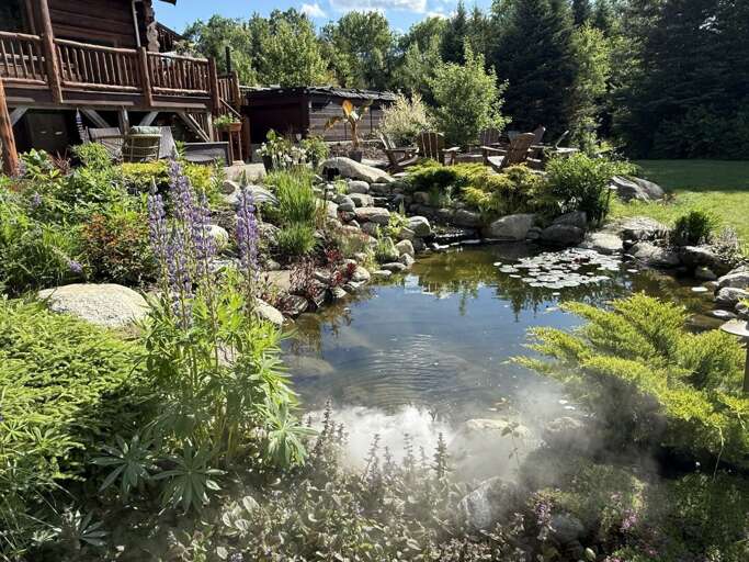 The pond. Kids love to find all the frogs!