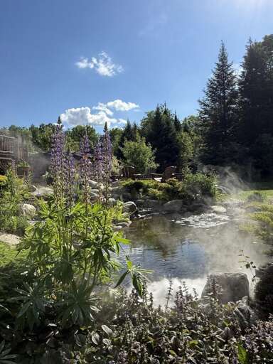 The pond with waterfall creates a relaxing backyard oasis