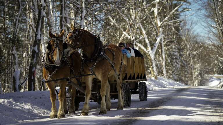 Carriage rides during the Maple Experience Carriage rides during the Maple Experience