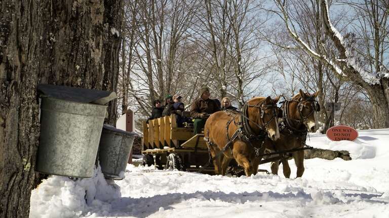 Carriage rides during the Maple Experience Carriage rides during the Maple Experience