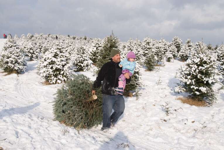 Carry your own tree... and child! Carry your own tree... and child!
