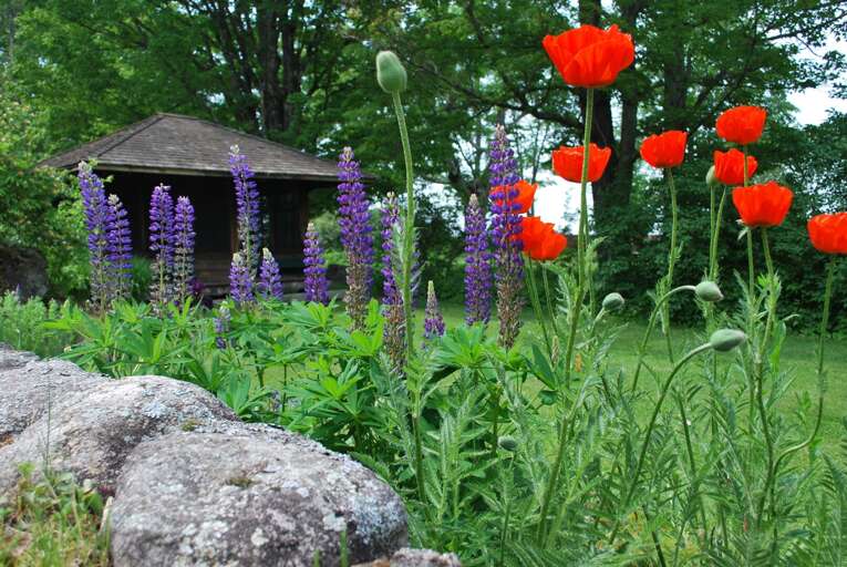 Formal Gardens with Tea House Formal Gardens with Tea House