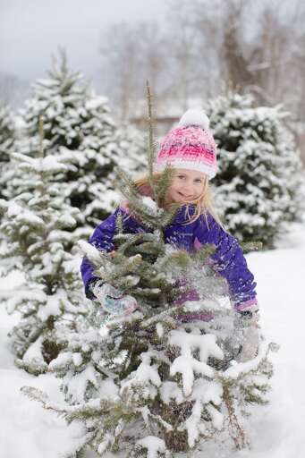 Make memories, year round! Make memories, year round!