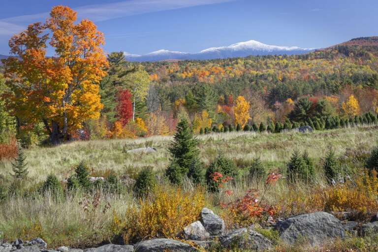 The first mountain snows herald stunning foliage views The first mountain snows herald stunning foliage views