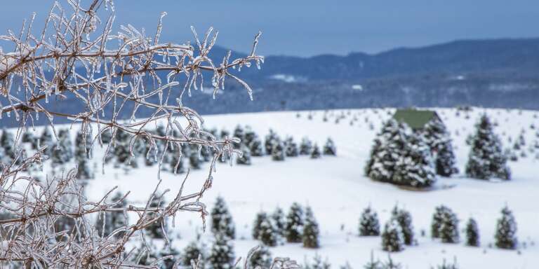 Photo taken on site by Photographer Chris Whiton Photo taken on site by Photographer Chris Whiton