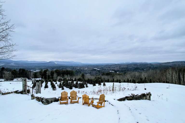 The Rocks Estate Gardeners Cottage with mountain views and an unbeatable location The Rocks Estate Gardeners Cottage with mountain views and an unbeatable location