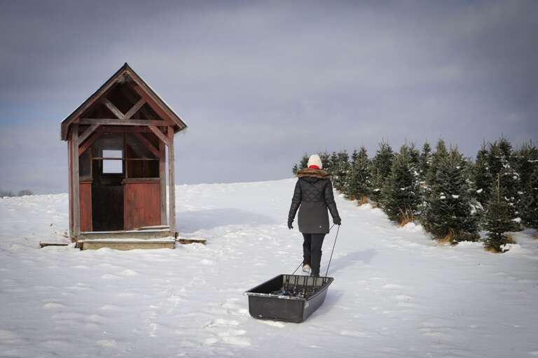 Winter Event - Pick your own tree! Winter Event - Pick your own tree!