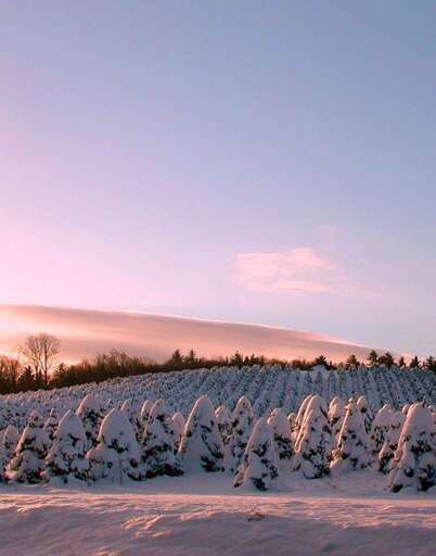 Winter scenery Winter scenery