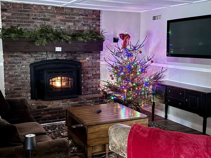 Living room with pellet stove, TV and dining area