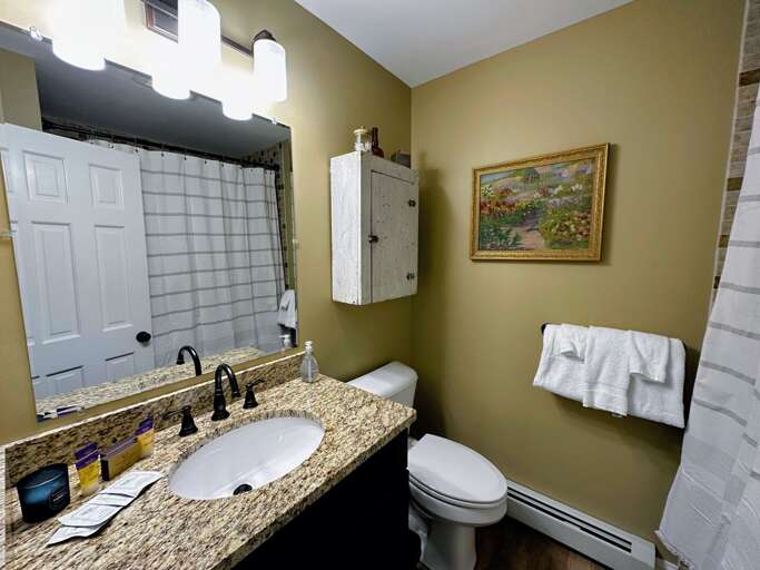 Lower level full bath with shower/tub combo