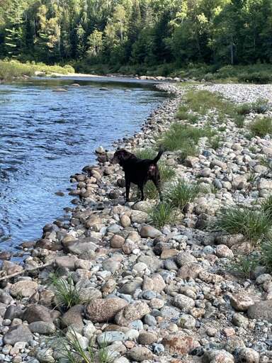 River area near house