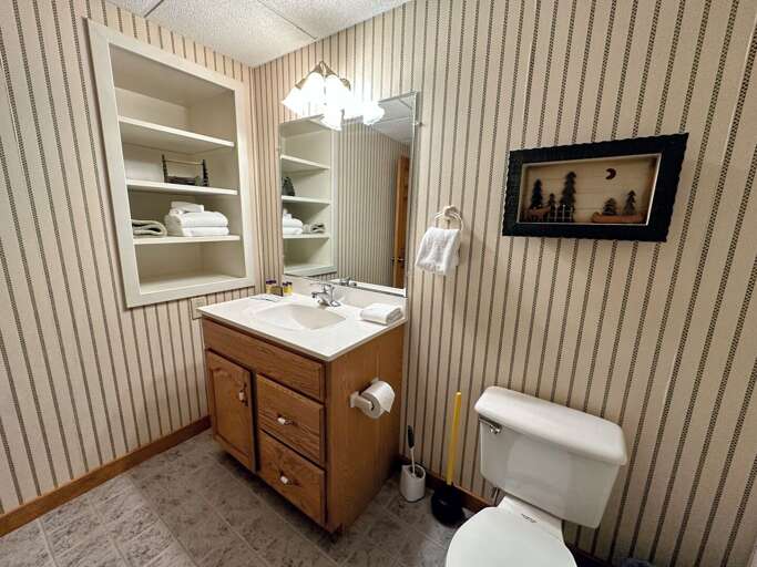 Lower level bath with shower Lower level bath with shower