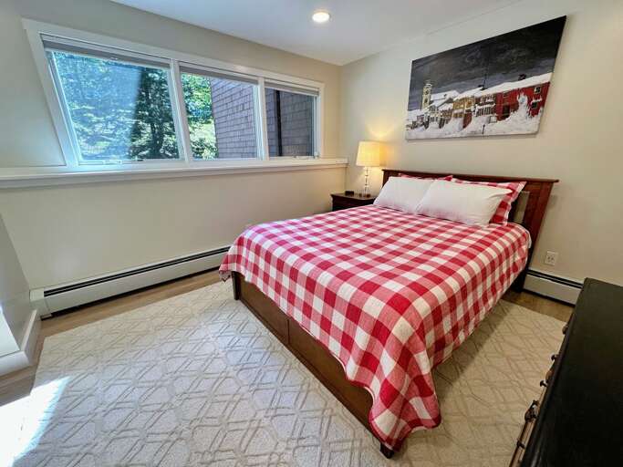Lower Level Queen Bedroom