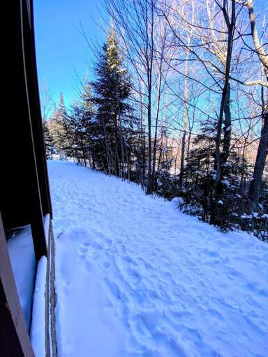 Path to bunny hill and learning quad