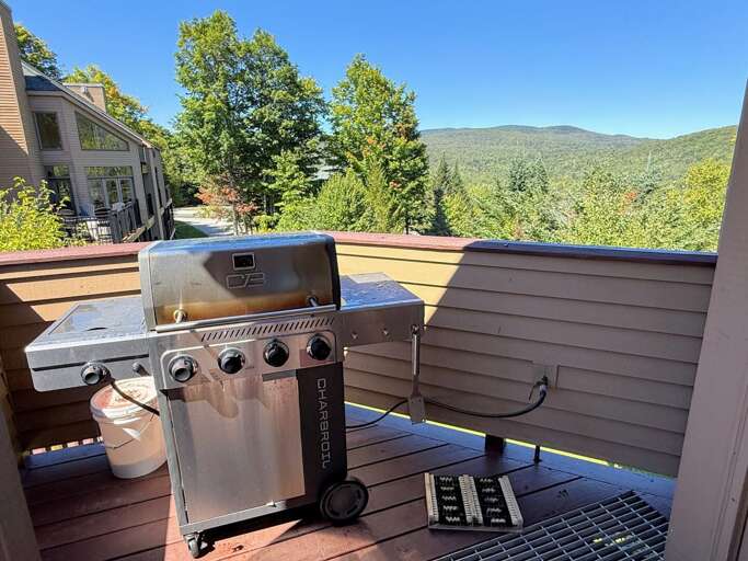 Propane grill on entry landing