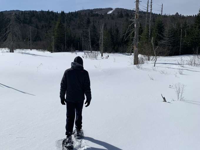 Admire the winter landscape on a snowshoeing adventure. It's fun, and a great workout!