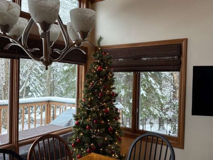 Winter Window View With A Decorated Christmas Tree And Snow Scene Outside