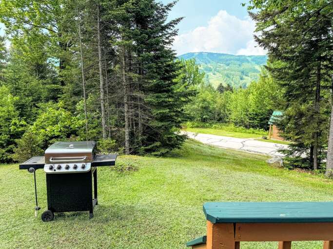 Propane grill for outdoor cooking