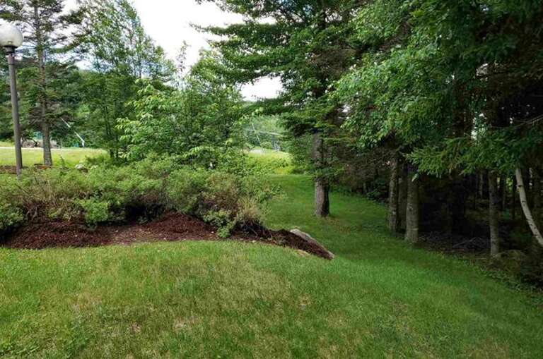 Leafy trees and green lawn surround the cottage, adding a peaceful backdrop to your mountain getaway. In the background the ski trail.