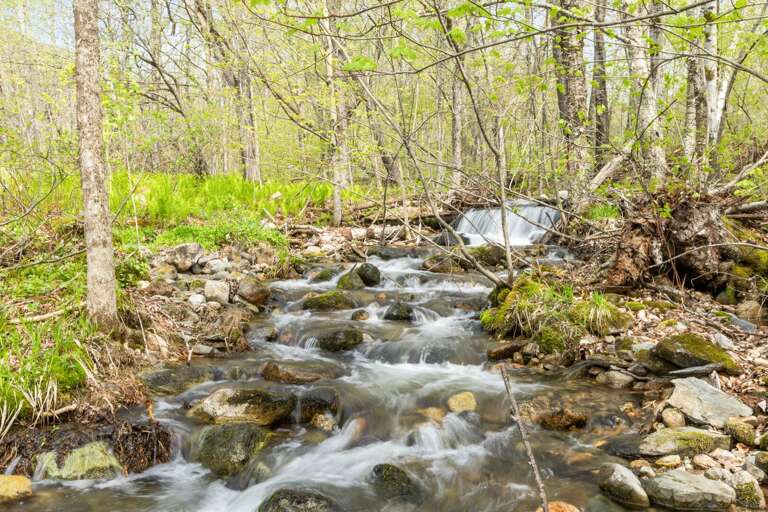 Enjoy the soothing sounds of the bubbling stream.