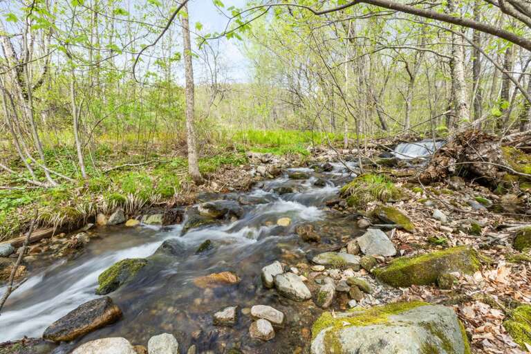 Enjoy the sounds of the stream.