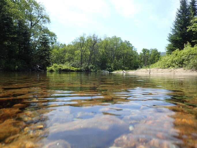 The pristine waters of the Ammonoosuc River will welcome you with tons of recreational opportunities - from fishing and swimming to tubing and wading