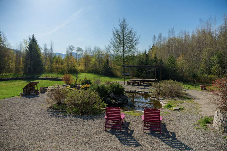 Springtime view of the yard