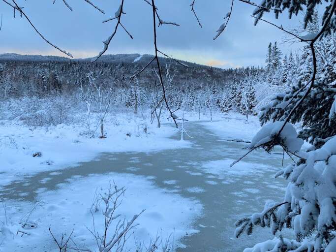 A winter view of the wetlands, with the large beaver pond in the foreground