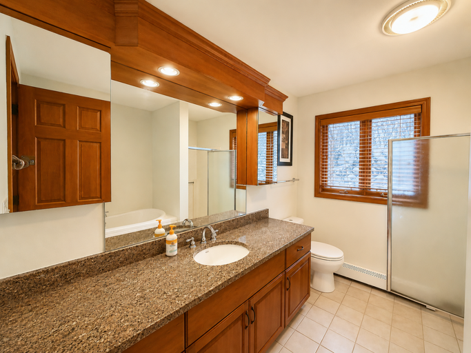 Main Level King bedroom private ensuite bath with shower and soaking tub