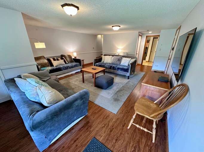 Lower level living area with two twin day beds and queen sleeper sofa