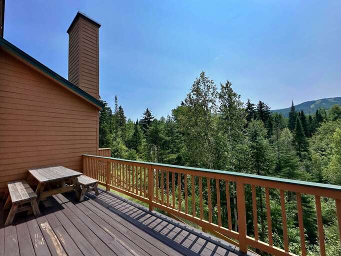 Main level deck with picnic table